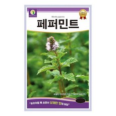페퍼민트(페파민트 매운박하) 씨앗 200립 / 후추처럼 톡 쏘면서 상쾌한 향의 허브 허브씨앗 꽃씨앗 허브씨, 1개