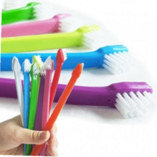 강아지구강세정 쥬쥬베 미니칫솔 (랜덤발송), 본상품