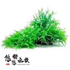 悠悠水族 高仿真水草 類地毯草 水族箱造景裝飾, 1個