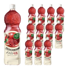 자연은 석류, 1.5L, 120개