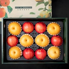 사과배 혼합 선물세트 대과 5.5kg(사과 6 배 6), 1세트