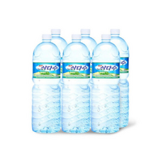 무라벨/유라벨 랜덤 제주 삼다수 생수, (광동 직영) 제주 삼다수 유라벨 2L 6개 생수 (유, 2L, 6개