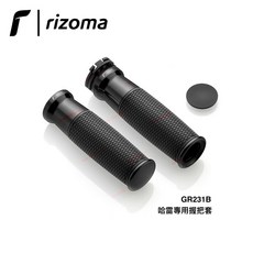 Seer HARLEY HD 哈雷 義大利 Rizoma 握把套 48 forty-eight GR231B