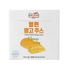 [미스터초이스] 얼린 망고주스, 18개, 300ml
