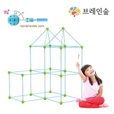 브레인숲 지오돔 점보262