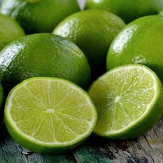 싱싱햇 라임 생과 생라임, 중과, 1박스, 10과(900g 내외)