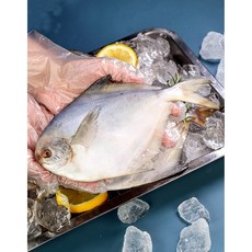 여움테이블 생물 국산 병어 국내산 손질 조림용, 1박스, 3kg(12-24미)