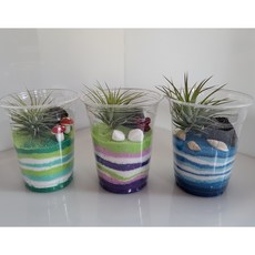 [까치플랜츠]5인용 1세트당 5000원 원예프로그램 DIY단체수업 이오난사 색모래 샌드아트 테라리움 원예수업키트 체험키트 5종 세트 교육용 테라리움 키트 1인용 5인용, 사막, 투명쇼핑백불포함, 1개