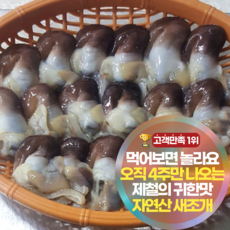 삼시세끼연구소 자연산 여수 손질 곡용 새조개 생물새조개 새조개살 생물 샤브샤브 초밥용 새조개회, 1세트, 200g