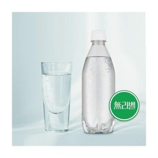 동아 라인바싸500ml x20페트, 500ml, 20개