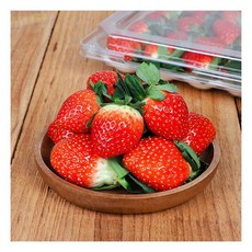 국산 설향딸기 350g 특품185652