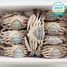 [연평도] 국내산 특품 급냉 암꽃게, 1개, 1kg (3-5미)