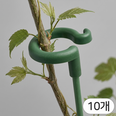 영바이브 화분 식물 지지대 58cm, 10개
