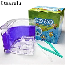 개미 농장 집 성 투명 곤충 테라리움 케이지 관찰 상자 보육 생태 모델 장난감, 04 purple, 04 purple_01 10.8 X 10.8 CM