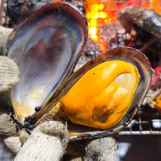 안면도 제철 자연산 섭 홍합 담치1kg 소 사이도 커요~~, 1개, 1kg, 자연산 홍합1kg-대(5~8미)