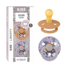 BIBS 컬러 공갈젖꼭지 2팩 BPA 프리 둥근 젖꼭지 천연 고무 라텍스 덴마크산 사이즈 1 (0-6개월) - 꽃잎/자두, June Blossom Pumpkin Mix, Size 1 | 0+ Month