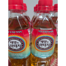 태양의 마테차, 500ml, 48개
