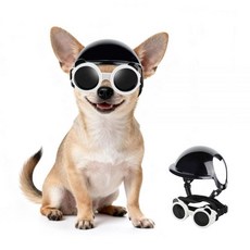 PETLESO 엑스트라 소형견 고글 및 XS 강아지 헬멧 자외선 차단 선글라스 2개 고양이 오토바이 보호 헬멧 세트 치와와 안전 하드 모자 야외 머리 눈 보호 화이트, PETLESO 엑스트라 소형견 고글 및 XS 강아지 헬