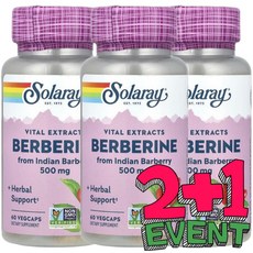 Solaray Berberine 인도 매자나무 추출물 500mg, 3개, 60정
