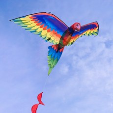 3D立體金剛鸚鵡造型風箏, 1個, 全配組(附輪盤集線器+150米線)