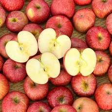 한입과득 청송사과 못난이 가정용 당일수확, 1박스, 사과 3kg (중소과)