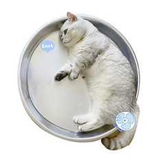 四季通用貓咪鋁盆涼窩 寵物睡墊 貓窩貓床, 1個, 直徑36cm【建議2kg內】