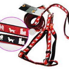도그프린팅 엑스반도 세트 강아지산책줄 강아지하네스 애견하네스