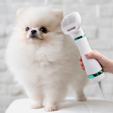 반려동물 그루밍 브러싱 털건조 저소음 안전 펫드라이, 1개