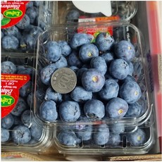 [용이청과] 수입산 생블루베리(16mm~18mm)내외, 2개, 125g x