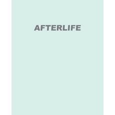 (영문도서) Afterlife Paperback, Blurb, English, 9798210374929