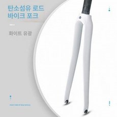 포크 풀카본 픽시자전거 출퇴근 싱귤러리티 트랙, 1개, 라벨 없는 흰색 밝음 370g 26c