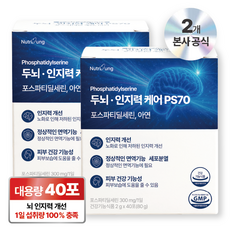 뉴트리정 두뇌 인지력 케어 ps70 고함량 포스파티딜세린 아연 대용량 분말스틱 40포, 2박스, 80g 2박스, 80g