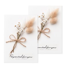 라솔트 프리저브드 플라워 카드 + 투명 케이스 세트, 로단테, 2개