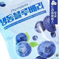분이네 아토 냉동 블루베리 1kg 냉동 과일 슈퍼푸드 잼 과일청 스무디, 1개