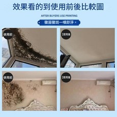 狼王 除黴劑 牆面牆壁去黴斑黴菌清除劑 防黴劑 瓷磚黴菌清潔劑, 1個, 1L