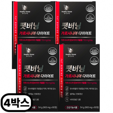 가르시니아 남자 남성 다이어트 보조제 가르니시아 HCA 팻버닝 체지방 감소 식약처인증, 4개, 팻버닝 가르시니아, 60정