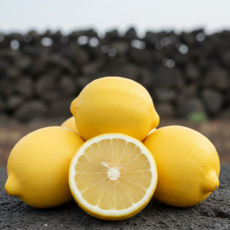 [산지직송] 제주 레몬 초특가 상큼하고 신선한 제철 과일, 1박스, 2kg(신선선별)