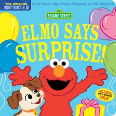 Indestructibles, Sesame Street, Pixton, Amy(저), Workman Publishing