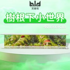 倉鼠彩繪偷窺隧道 增設後超省墊料 倉鼠躲避屋 小寵地下管道 安全躲藏與玩樂空間, 1個, 樹根下的小世界