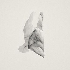 (LP) Sleep Heavy