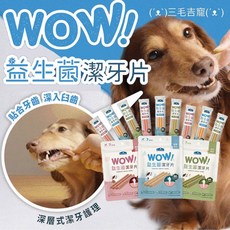 倍力BLUEBAY WOW益生菌潔牙片, 1個, 日式蕎麥天然葉綠素,單入