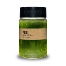교과서 과학 초등학교 실험 관찰생물 녹조류 해캄 300ml wjm*167ER