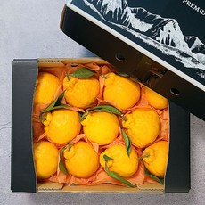 명품 제주 한라봉 선물세트 제주 할라봉 제주도 한라봉 택배 상견례선물 이바지과일, 1개