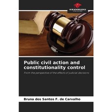 (영문도서) Public civil action and constitutionality control Paperback, Our Knowledge Publishing, English, 9786208406882