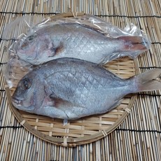 (여수동동식품)반건조 참돔 1미당 25cm 내외 2마리 450g~500g 국내산 / 와사비 믹스 간장 증정, 1개, 250g
