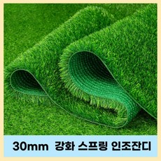 베르데론 폭신하고 오래가는 30mm 인조잔디 매트, 폭1mX길이10m