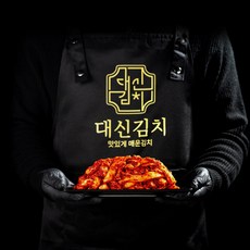 대구실비김치 대신김치 맛있게 매운 불 겉절이 1kg 2개, 2단계 화끈하게 매운맛 2kg