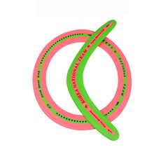 캠핑놀이 캠핑놀거리 캠핑장난감 야외놀이 플라스틱 부메랑 링