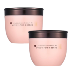 본체청정연 청아한 클렌징 크림, 300g, 2개