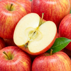 [100박스한정특가] 고당도 A급 국내산 사과 부사사과, 1박스, 2kg